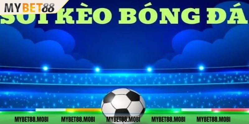 Tìm hiểu về soi kèo trước trận đấu